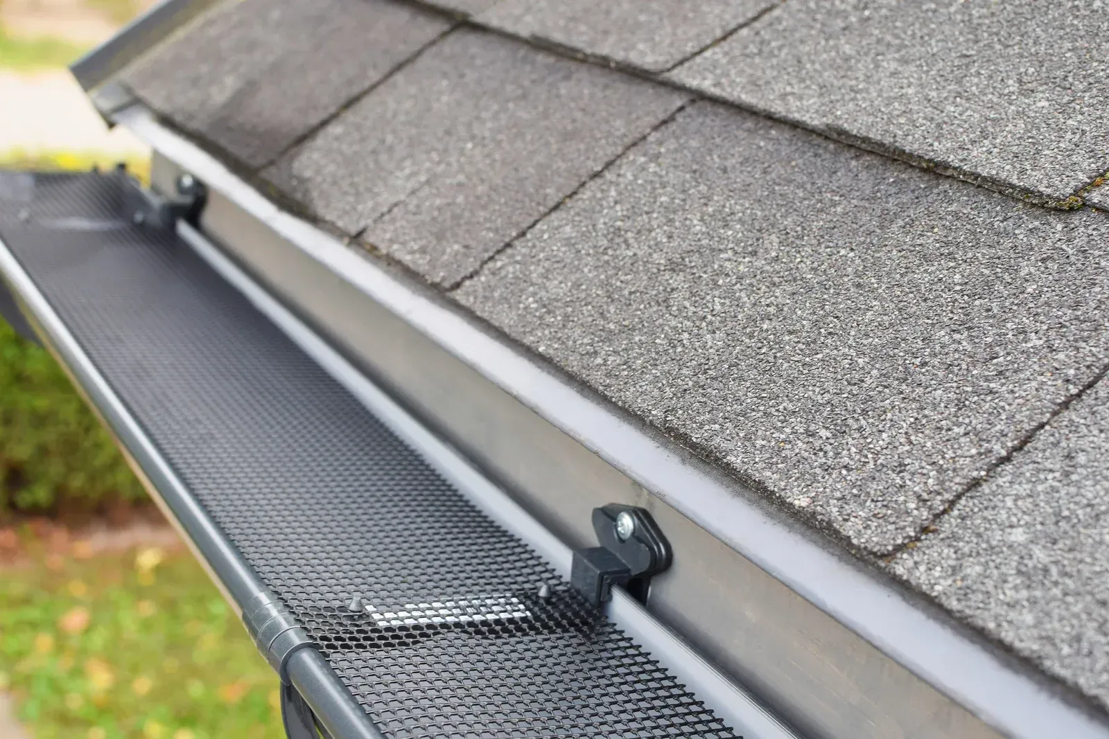 Gray roof shingles with a gutter containing a black mesh screen, fastened with black clips.