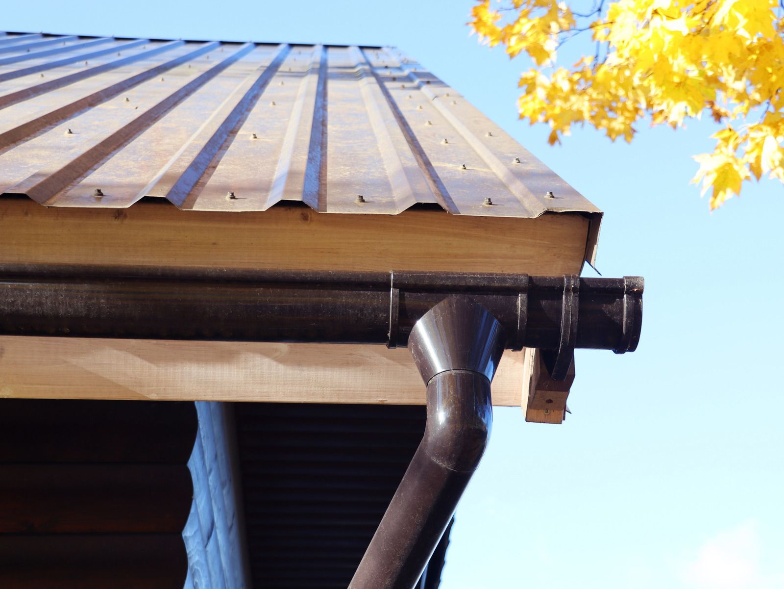 Brown gutter and roof with fall foliage against a blue sky.