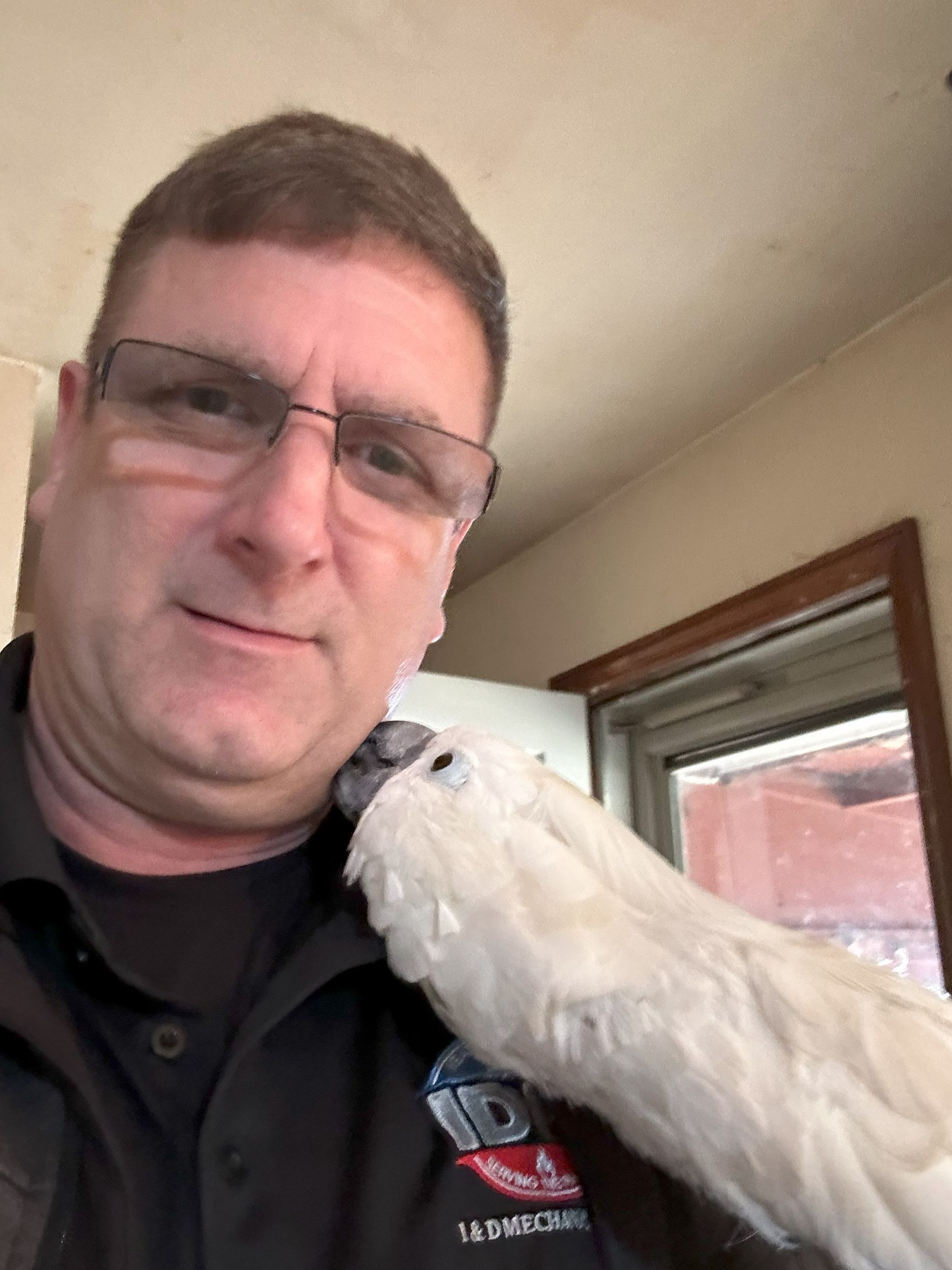 A man wearing glasses is holding a white bird on his shoulder.