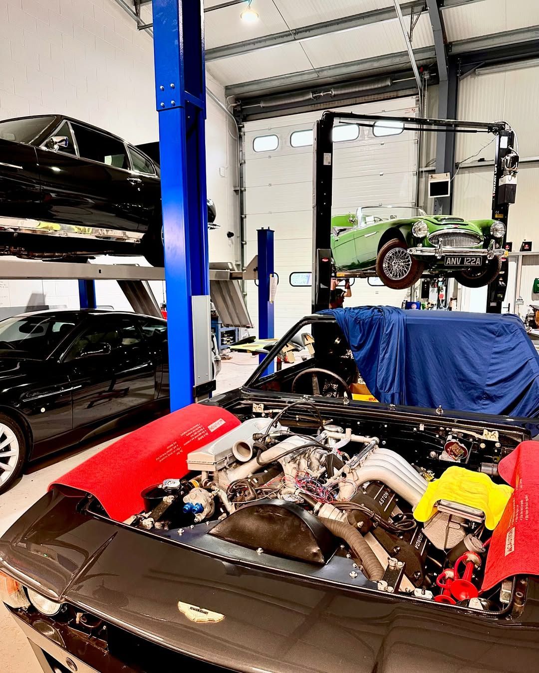 Cars being worked on in a garage; some lifted on hoists, one with an open hood revealing the engine.