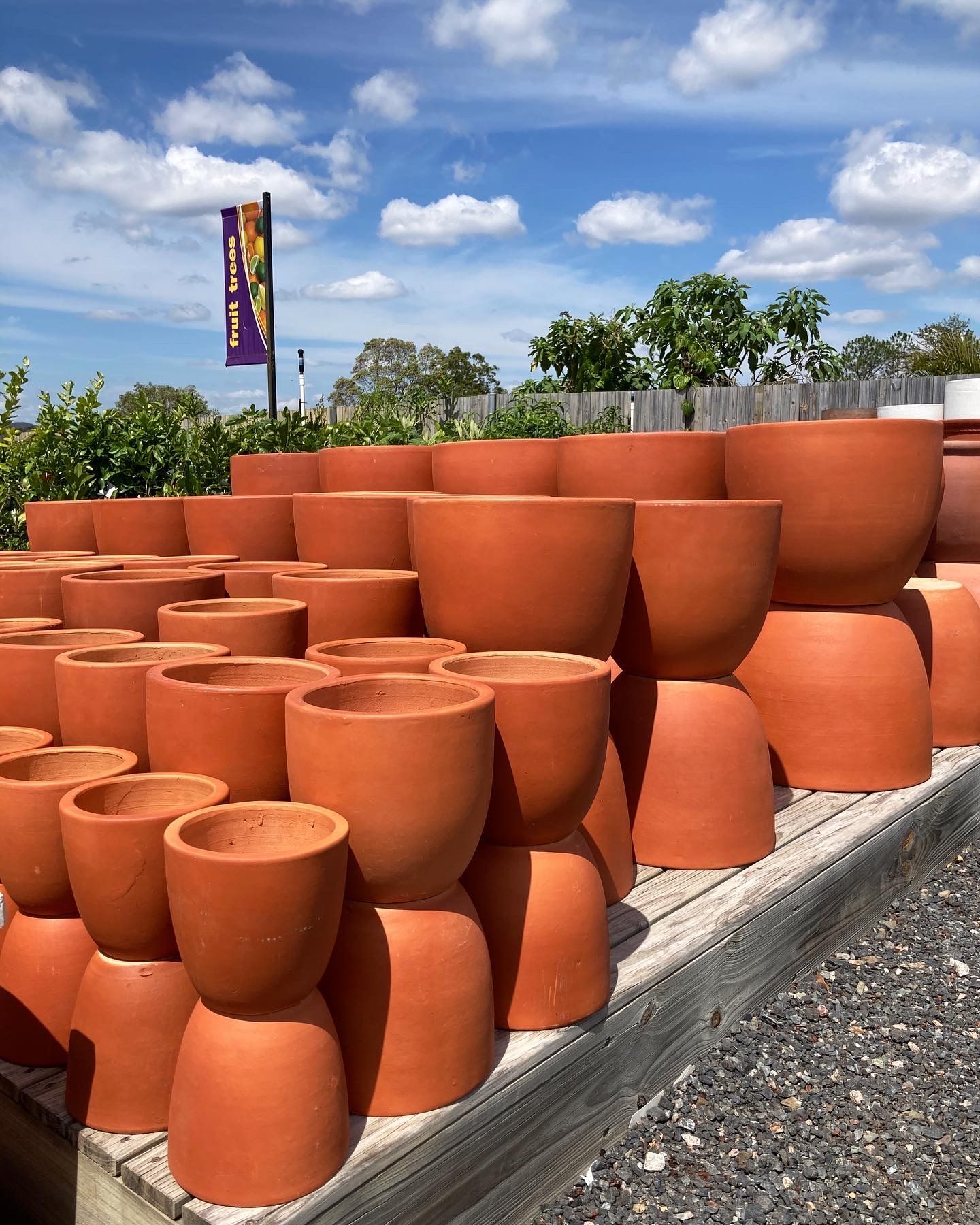Plant Pots for Sale in Queensland Timbara Garden Centre
