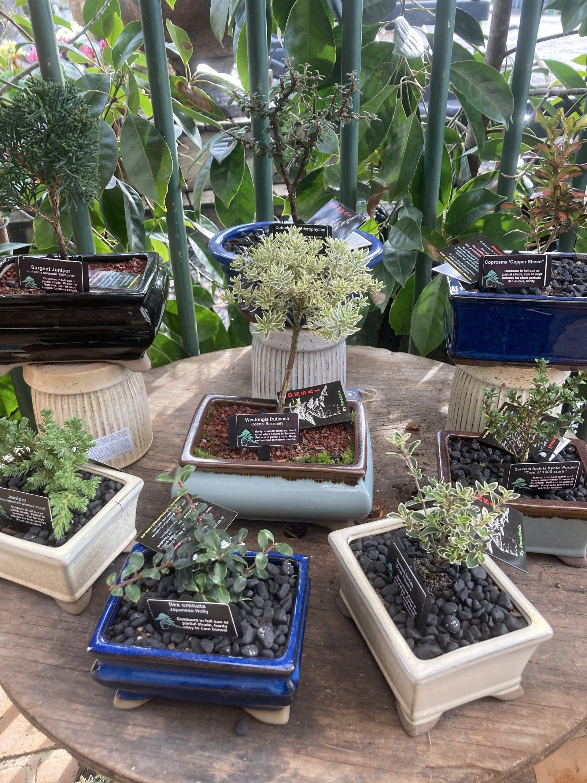 Garden Nursery & Shop in Redlands, QLD Timbara Garden Centre