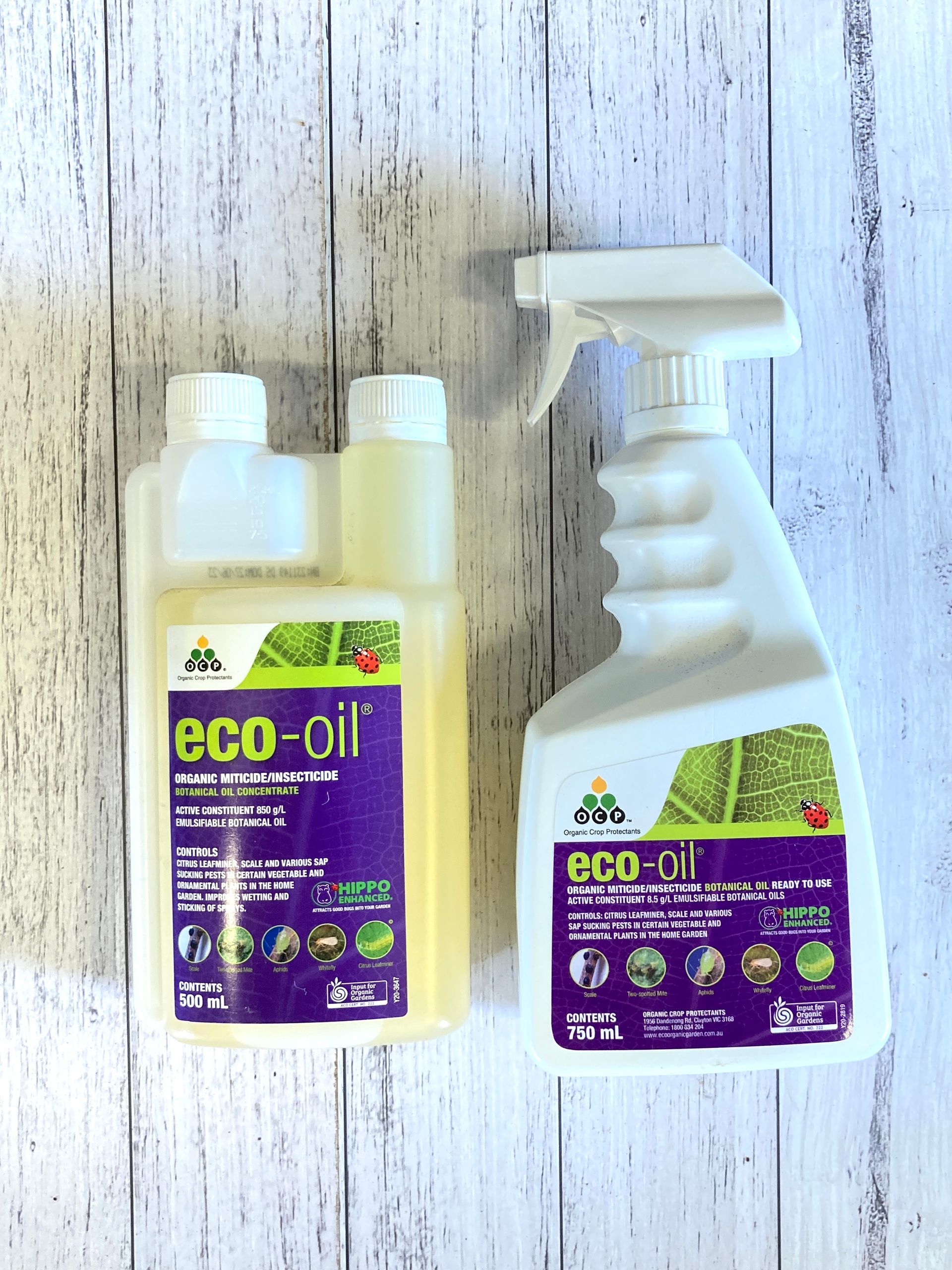 Two bottles of eco oil are sitting on a wooden table.