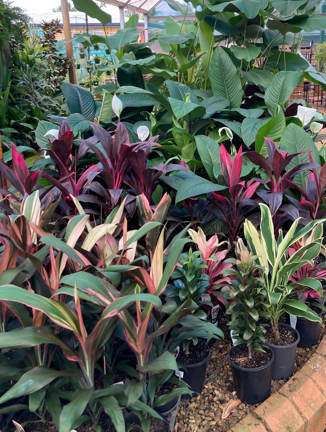 Plant Nursery, Redlands, QLD Plant Nursery, Redlands, QLD