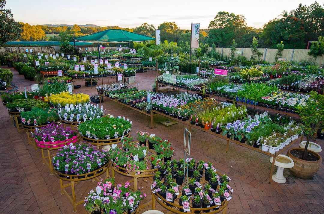 Garden Nursery & Shop in Redlands, QLD Timbara Garden Centre