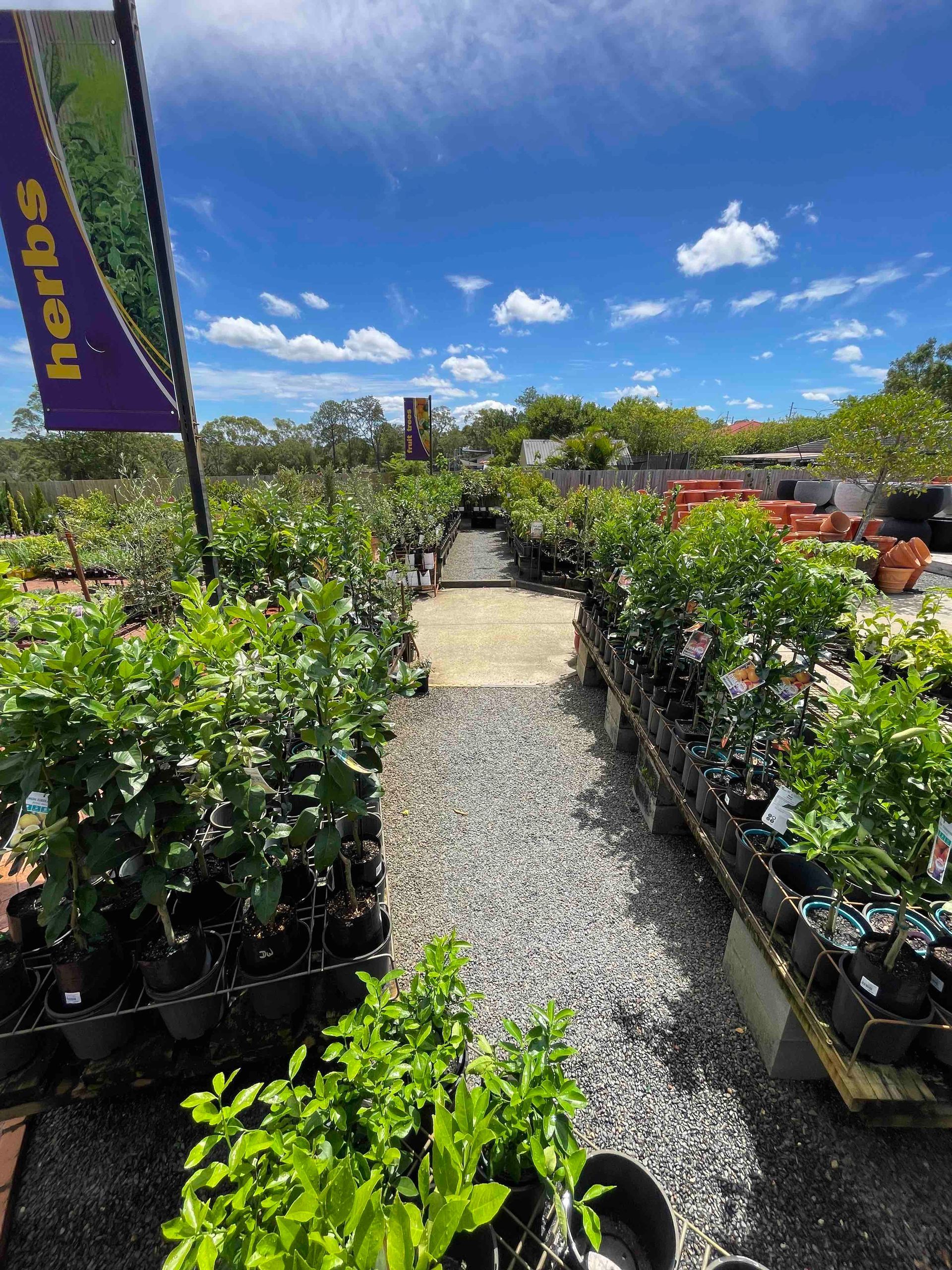 Fruit Trees - Timbara Nursery