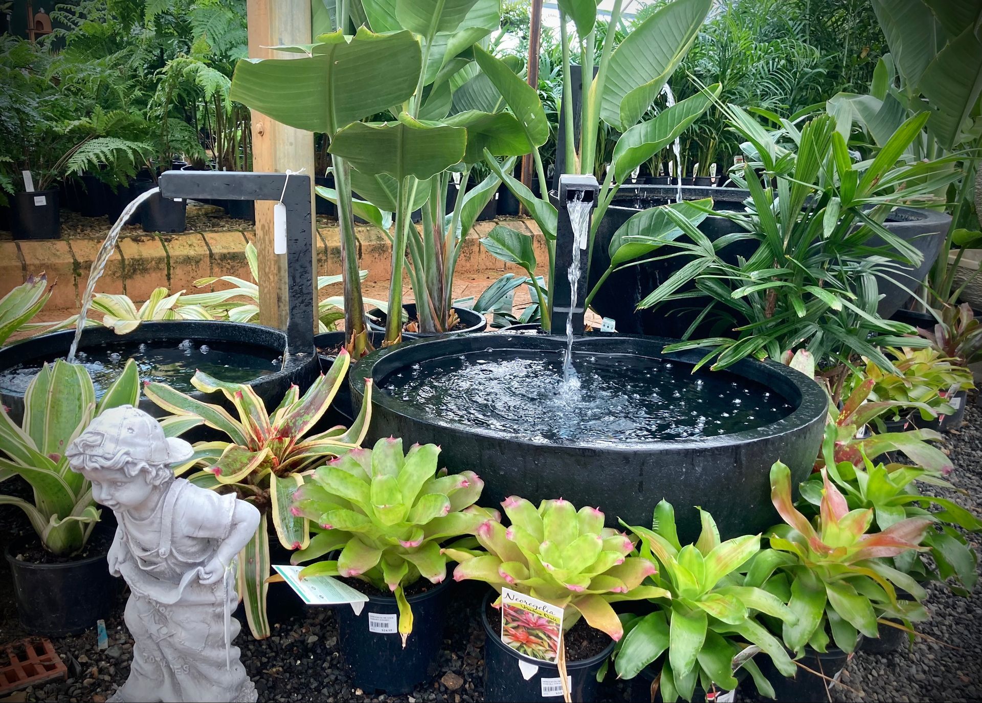 Fountains - Timbara Nursery