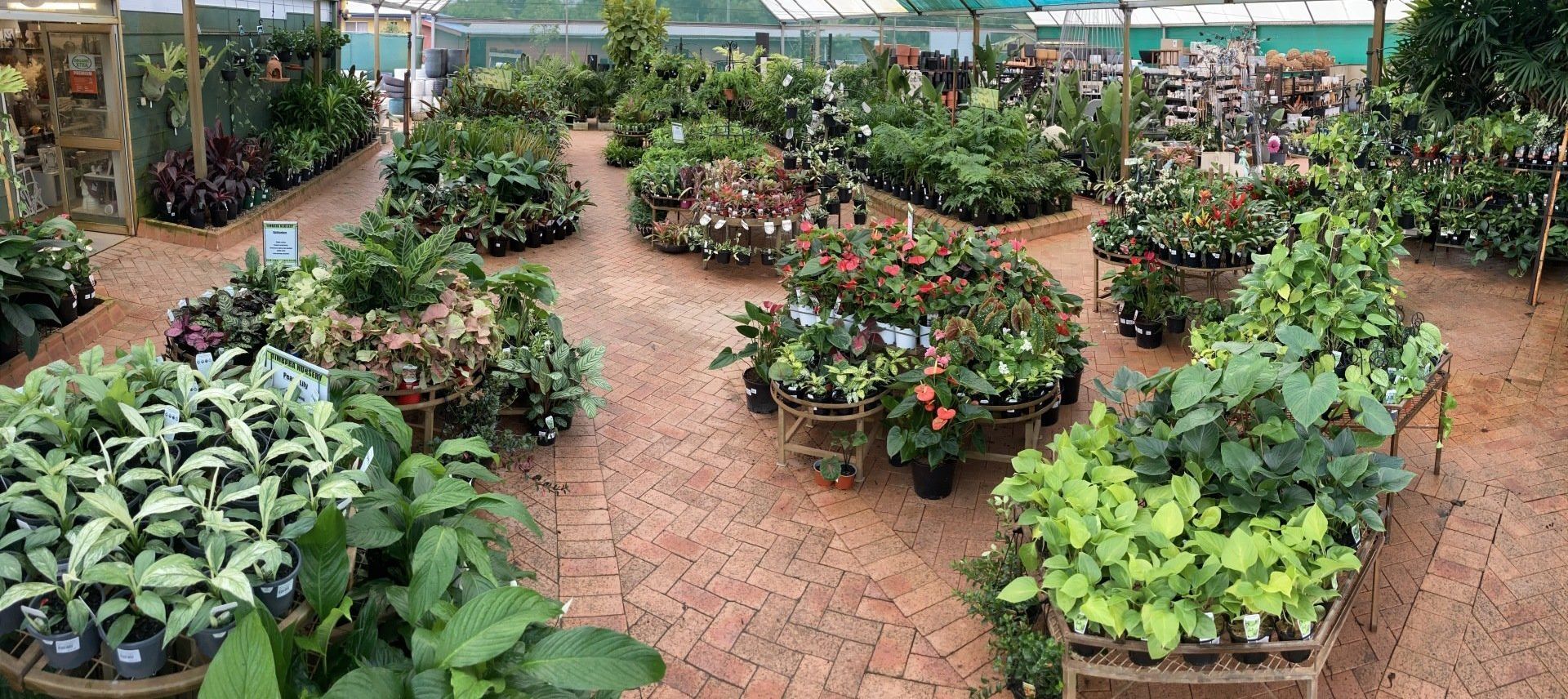 Nursery Plants - Timbara Nursery