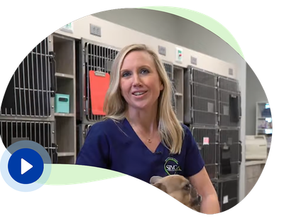 Emergency Vet Little Rock | About - Shackleford Vet Clinic