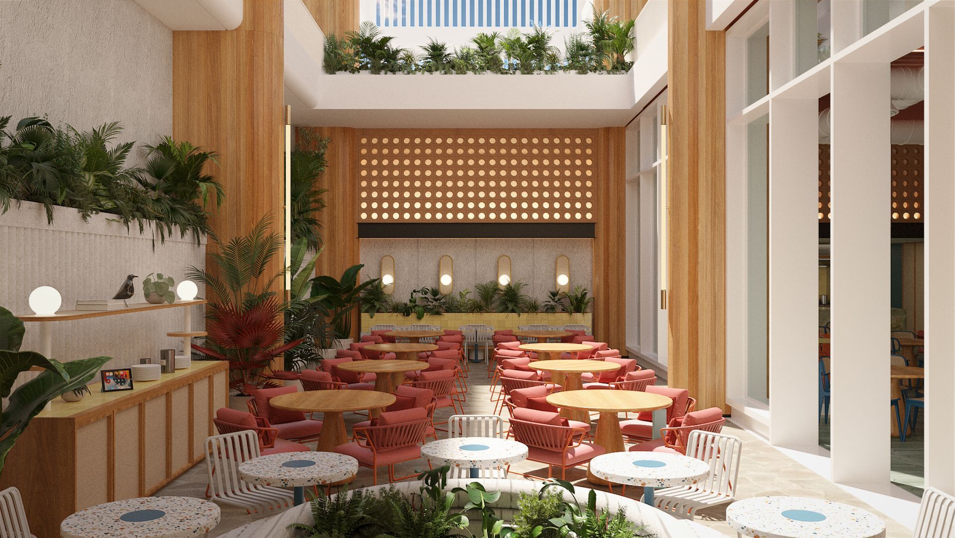 Conoce nuestro hotel en San Andrés | Zapadilly Tree Hotel