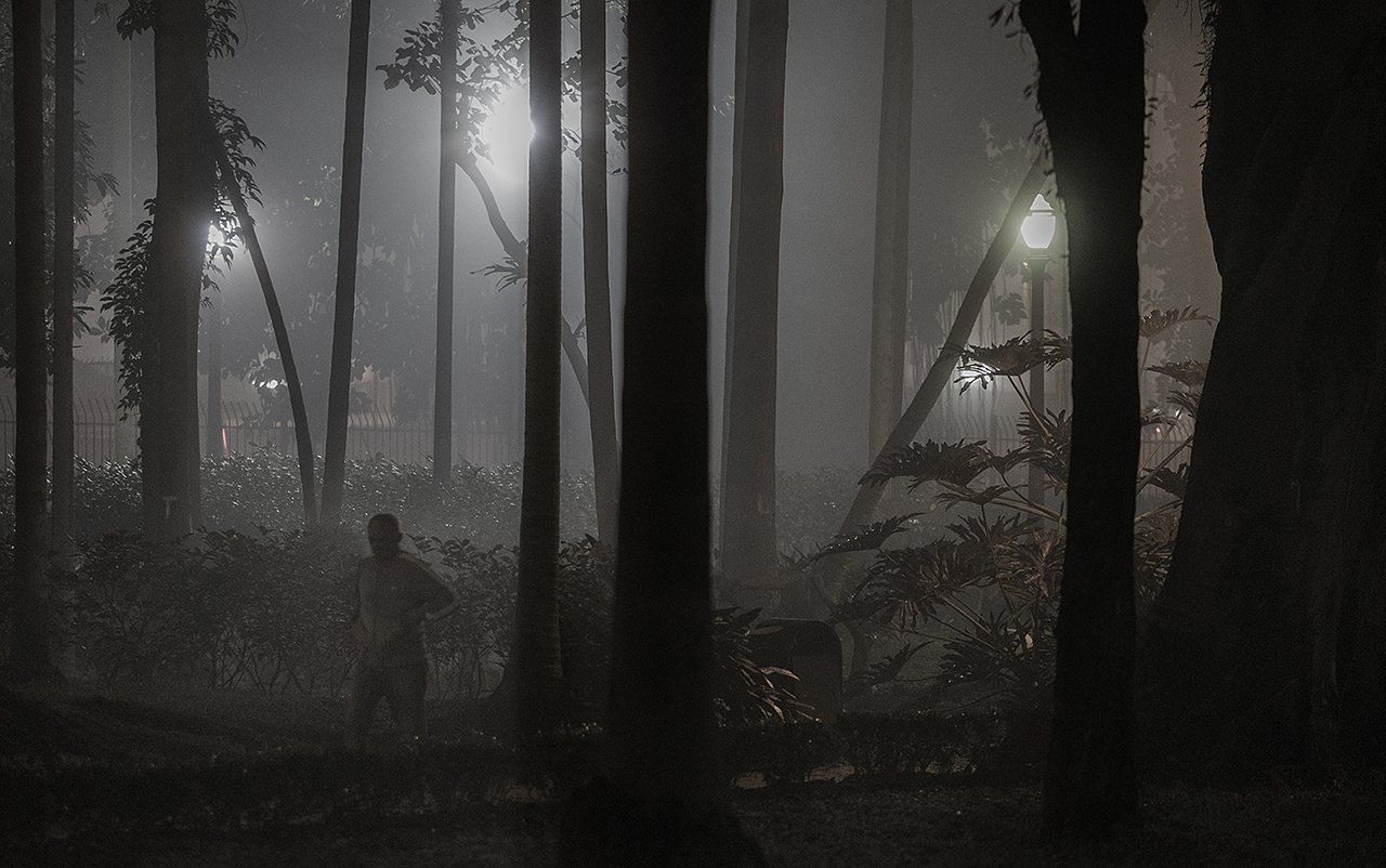 Uma pessoa está caminhando por uma floresta nebulosa à noite.