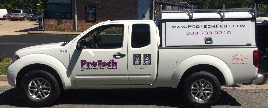 A white truck with the word protech on the side is parked in a parking lot.