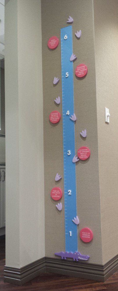 A blue and pink height chart on a wall.