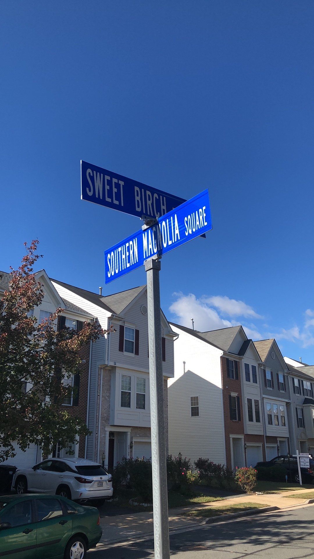 A street sign that says sweet birch is on a pole in front of a row of houses.
