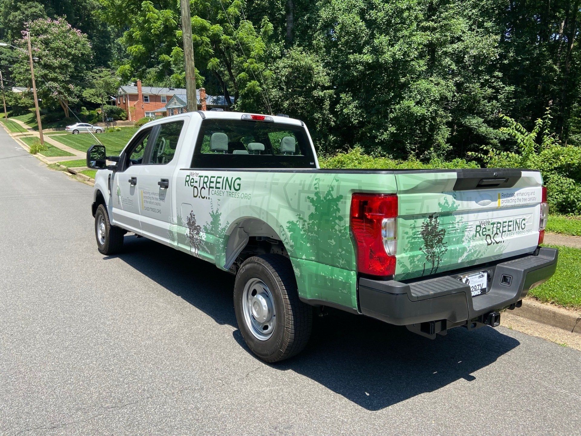 A white truck with a green wrap is parked on the side of the road.