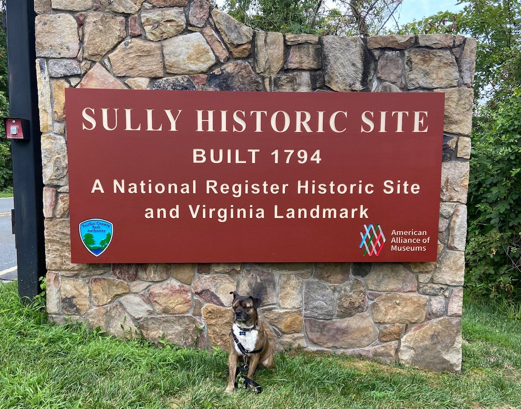 A dog is standing in front of a sign for sully historic site
