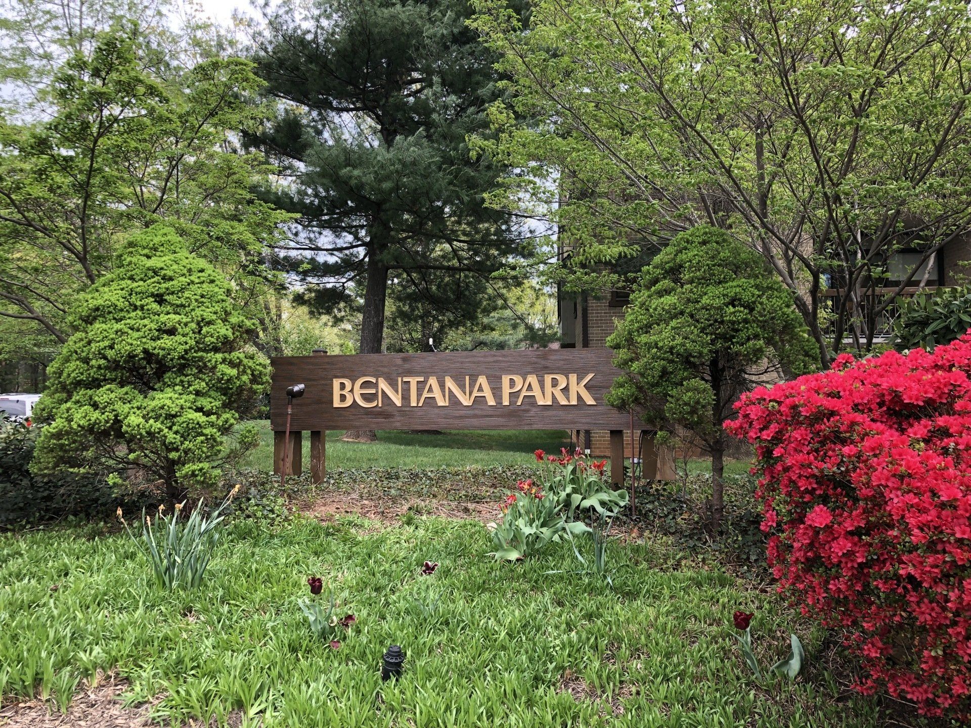 A wooden sign for bentana park is surrounded by trees and flowers.