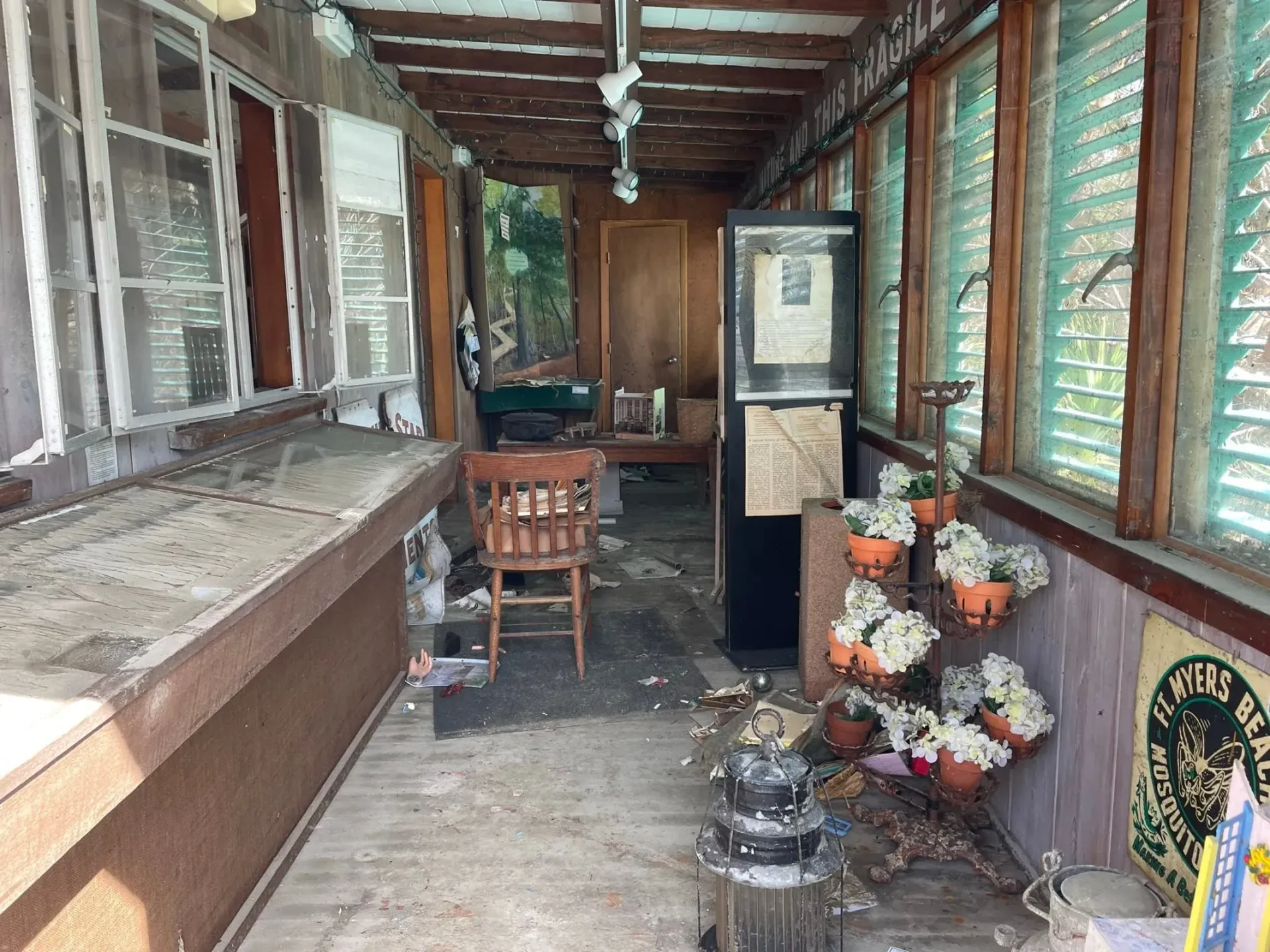 A long hallway with lots of windows and potted plants.