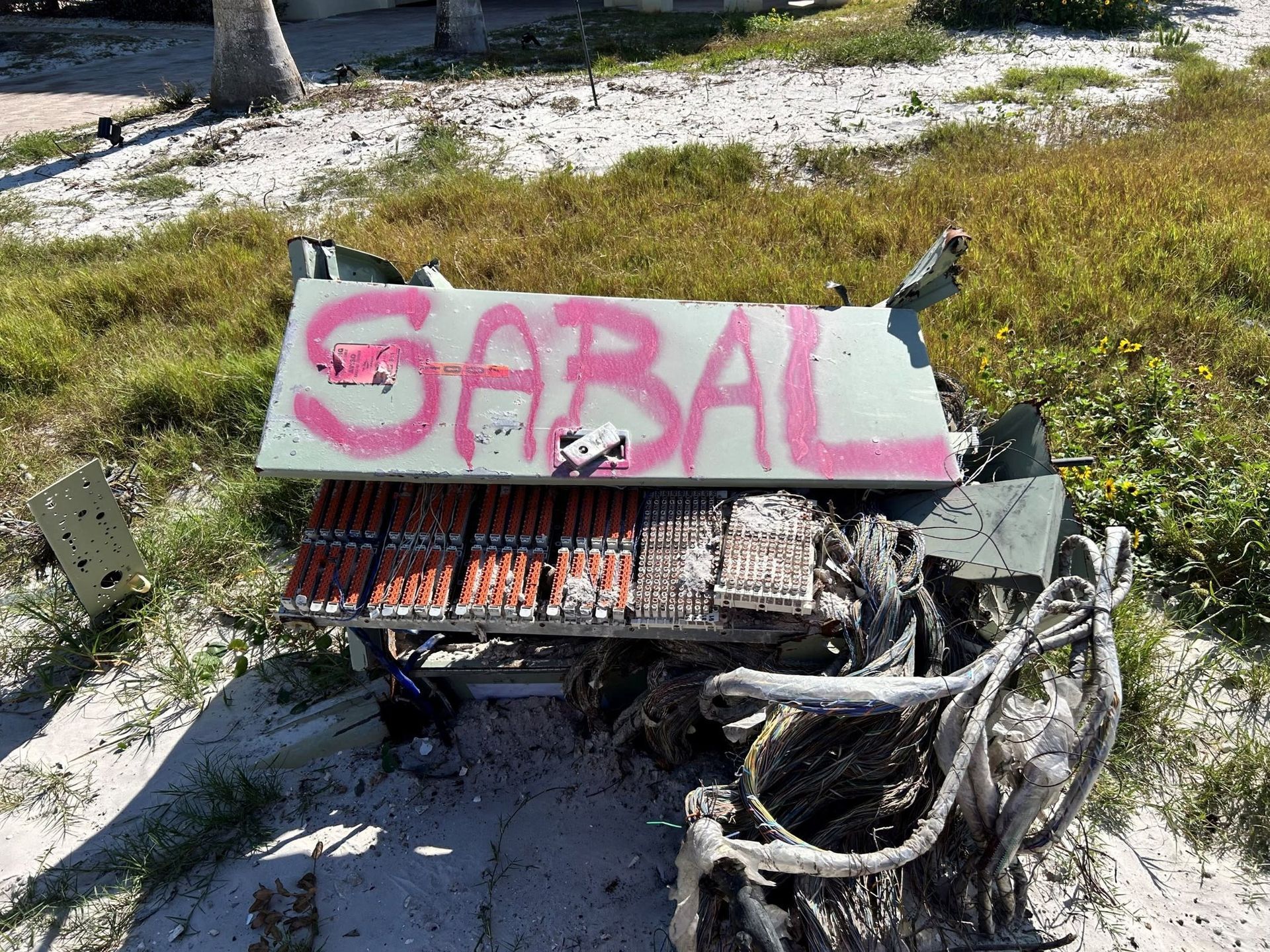 The word sabal is spray painted on a piece of wood