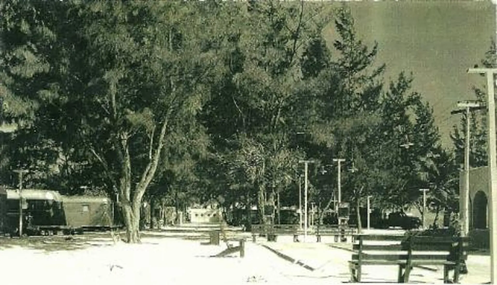 A black and white photo of a park with a train in the background