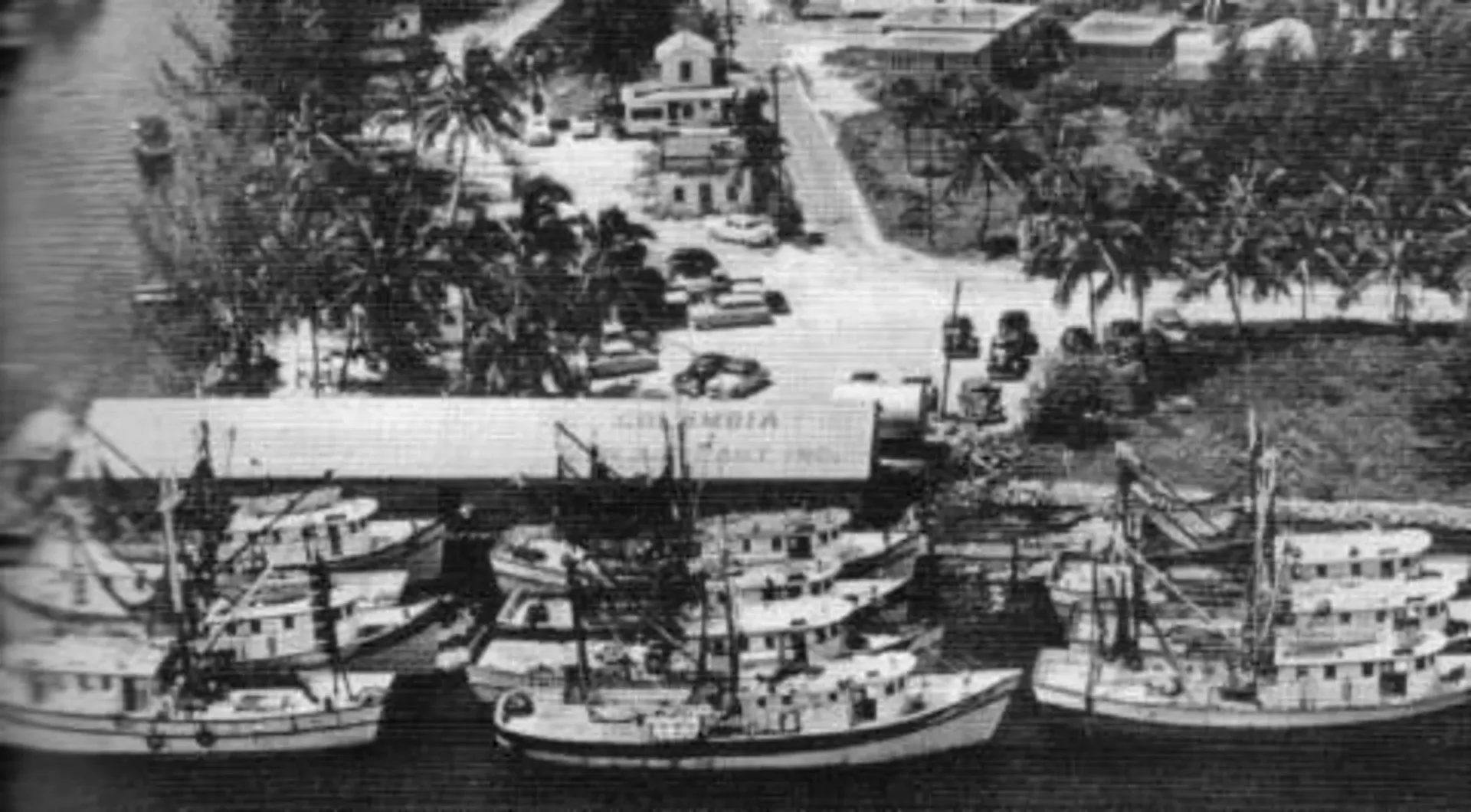 A black and white photo of boats docked in a harbor