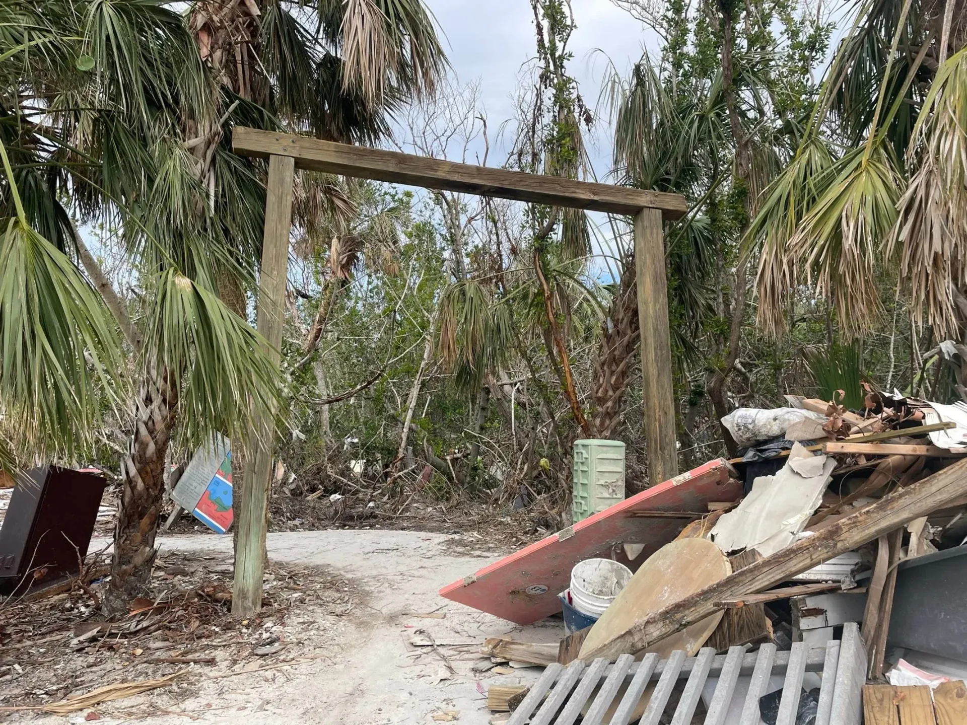 There is a pile of trash in the middle of the woods.
