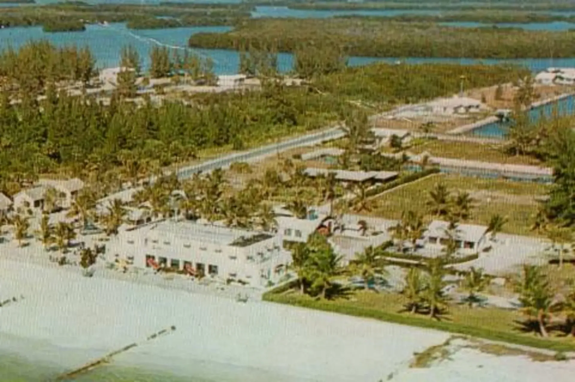 An aerial view of a beach with palm trees and buildings