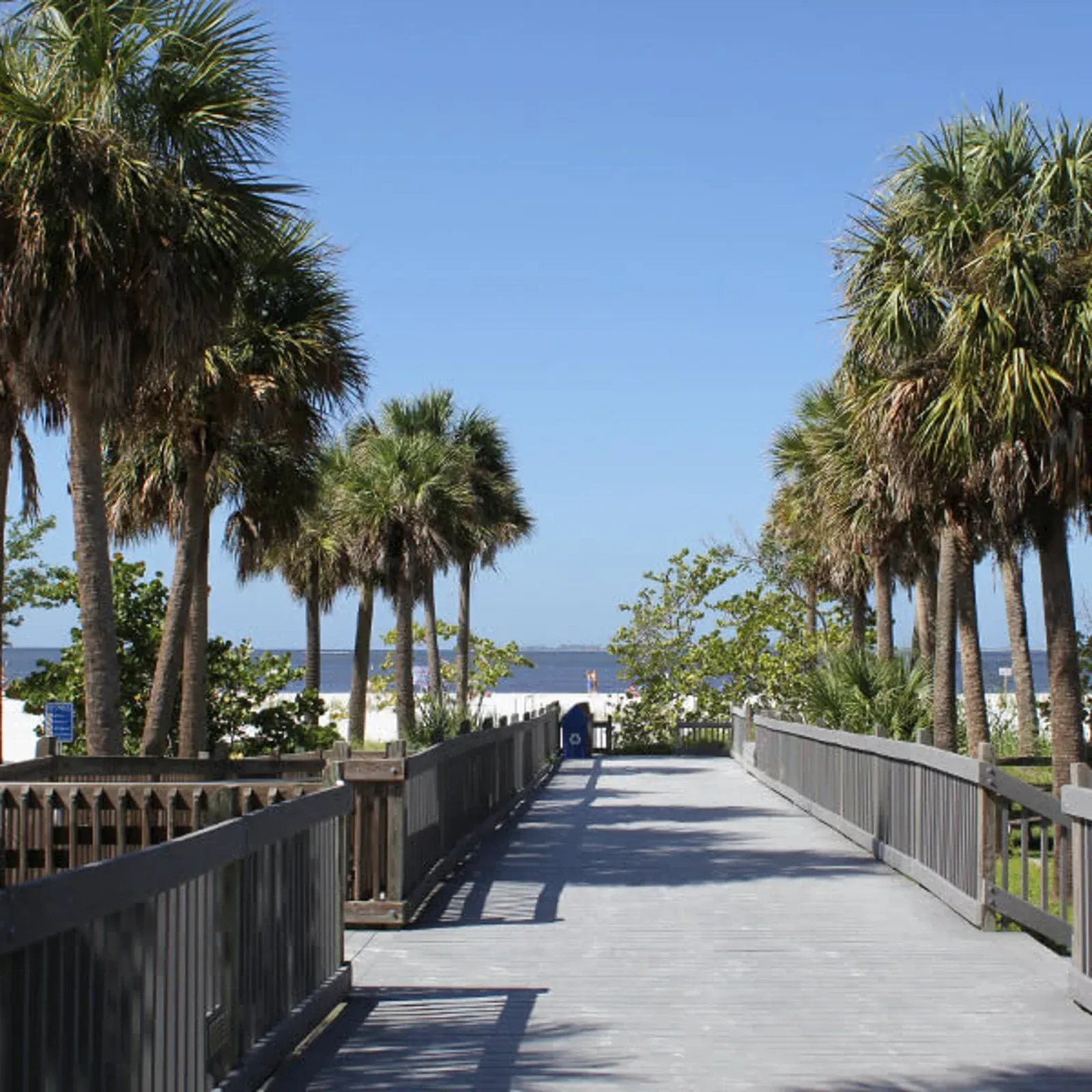 A walkway with palm trees on both sides leading to the ocean