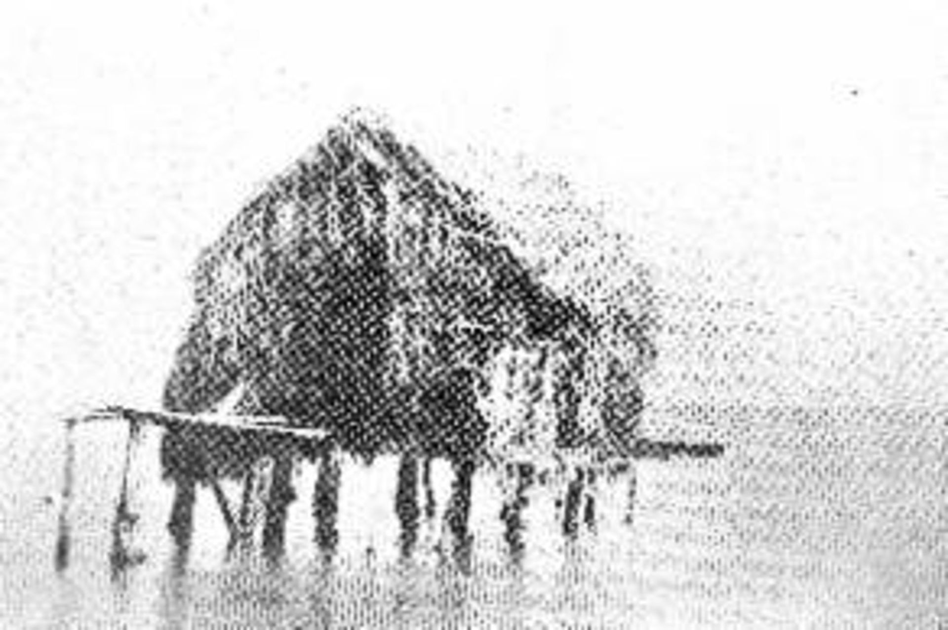 A black and white drawing of a house in the water.