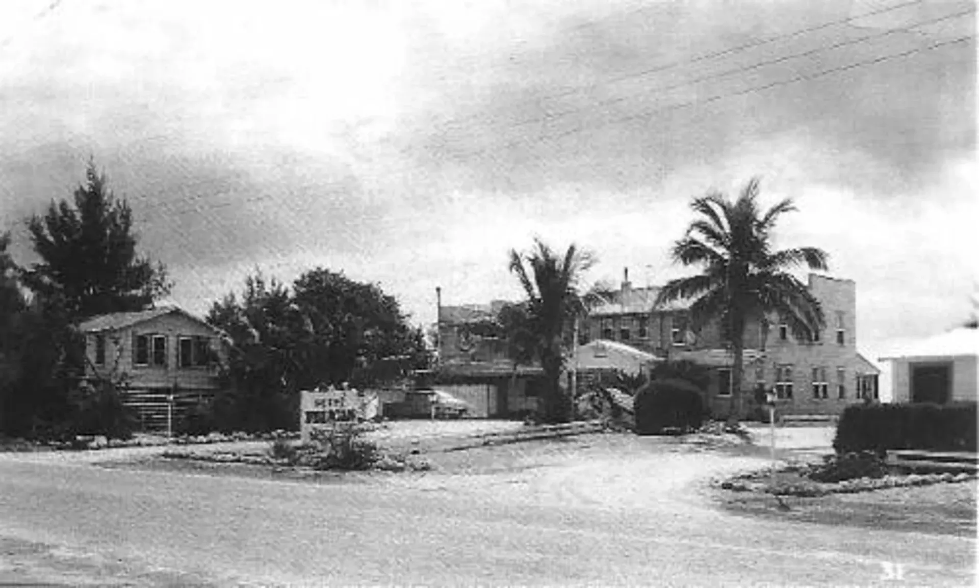 A black and white photo of a residential area with palm trees and houses.