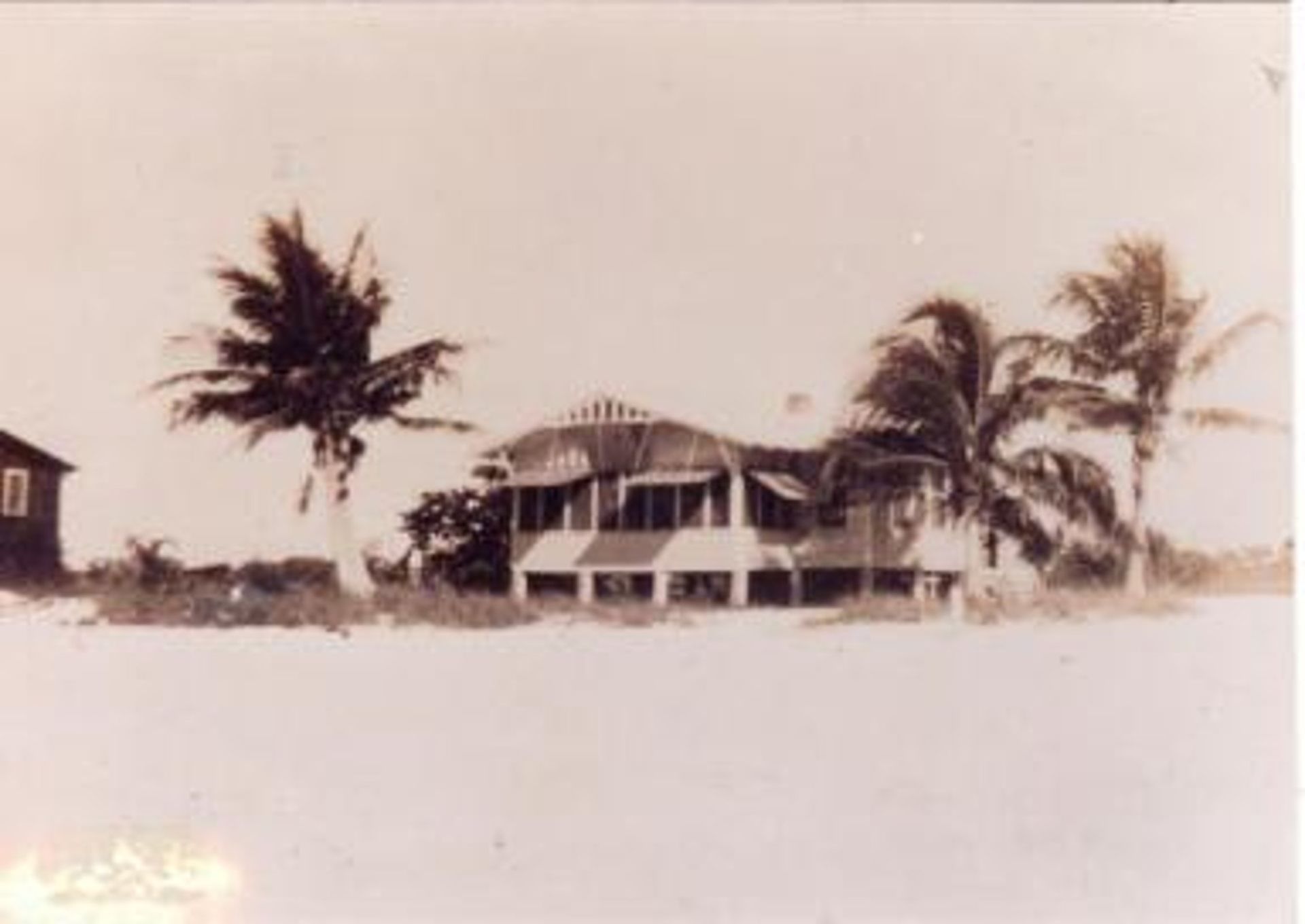 A black and white photo of a house and palm trees