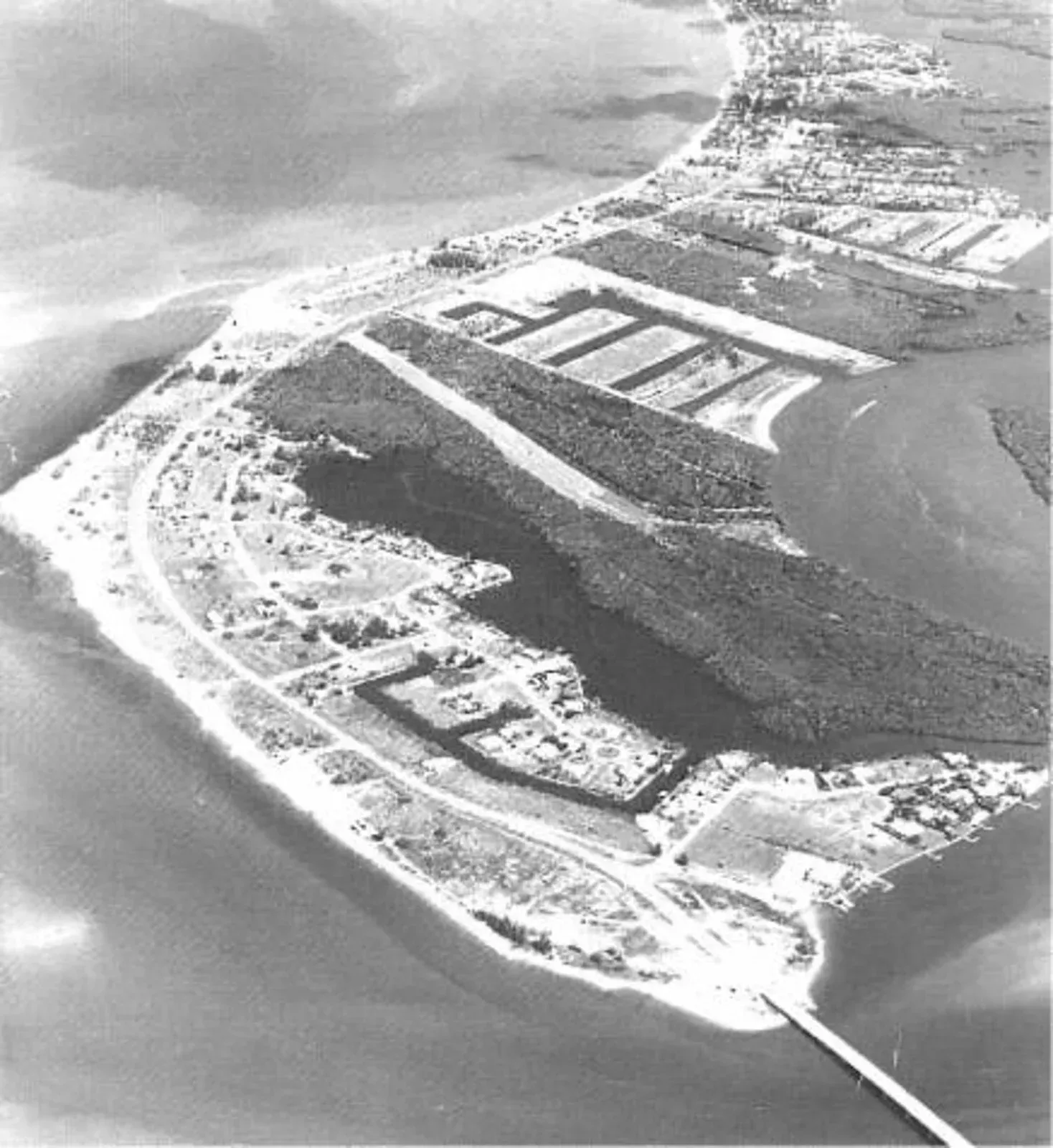 A black and white photo of a small island in the middle of a body of water