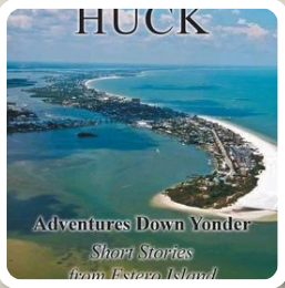 Cover of a book titled