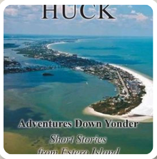 Cover of a book titled