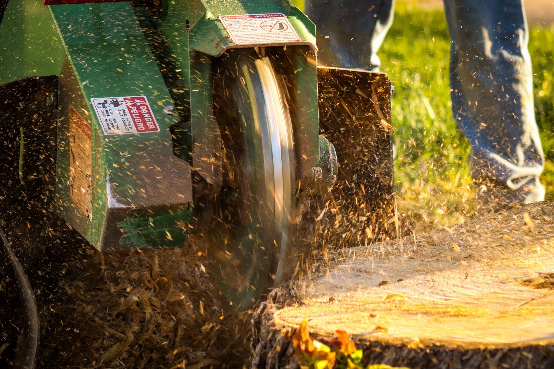 Stump Grinder is Cutting a Tree Stump