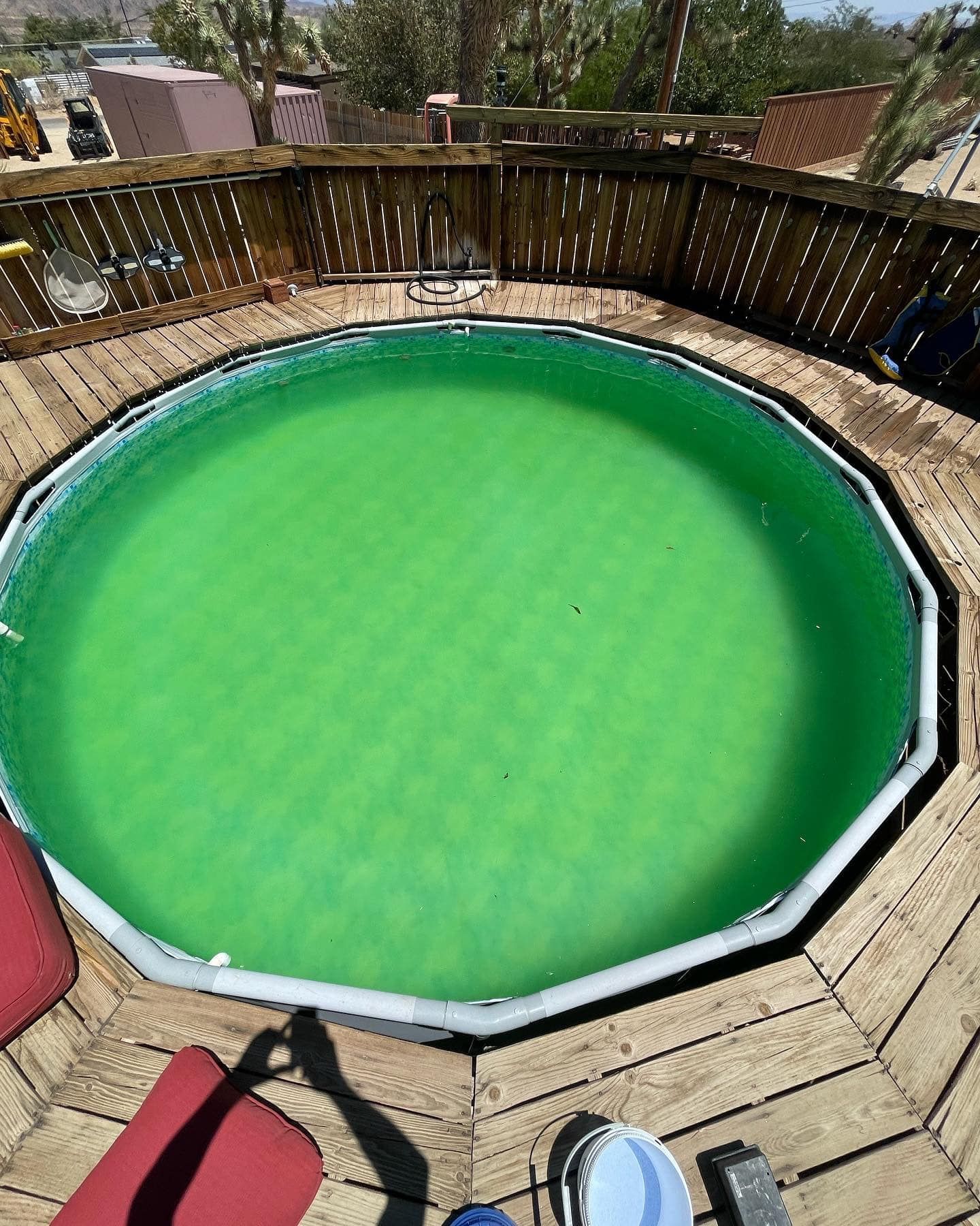 Green pool surrounded by wooden deck and fence. Sunny outdoor setting.
