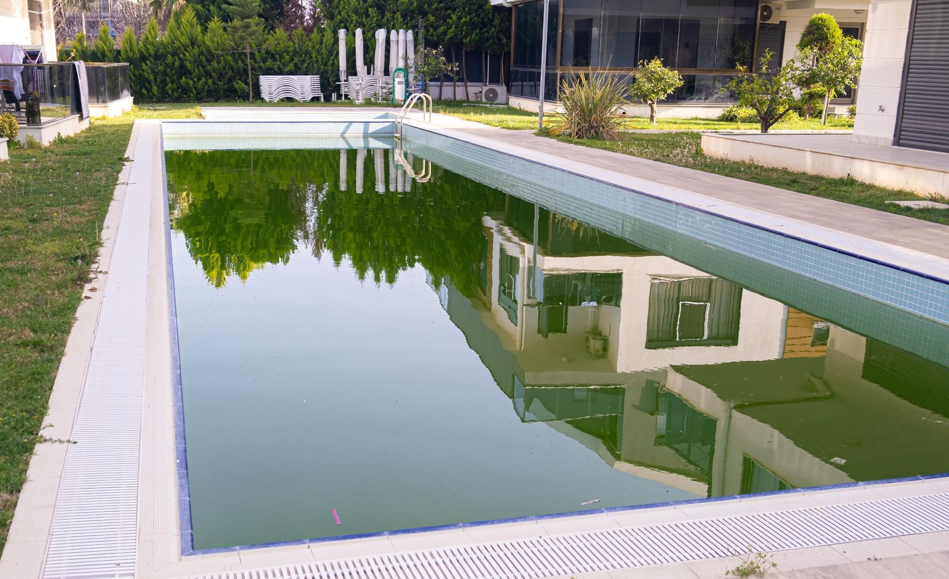 Green, algae-filled rectangular pool reflecting a white building. Grassy yard surrounds the pool.