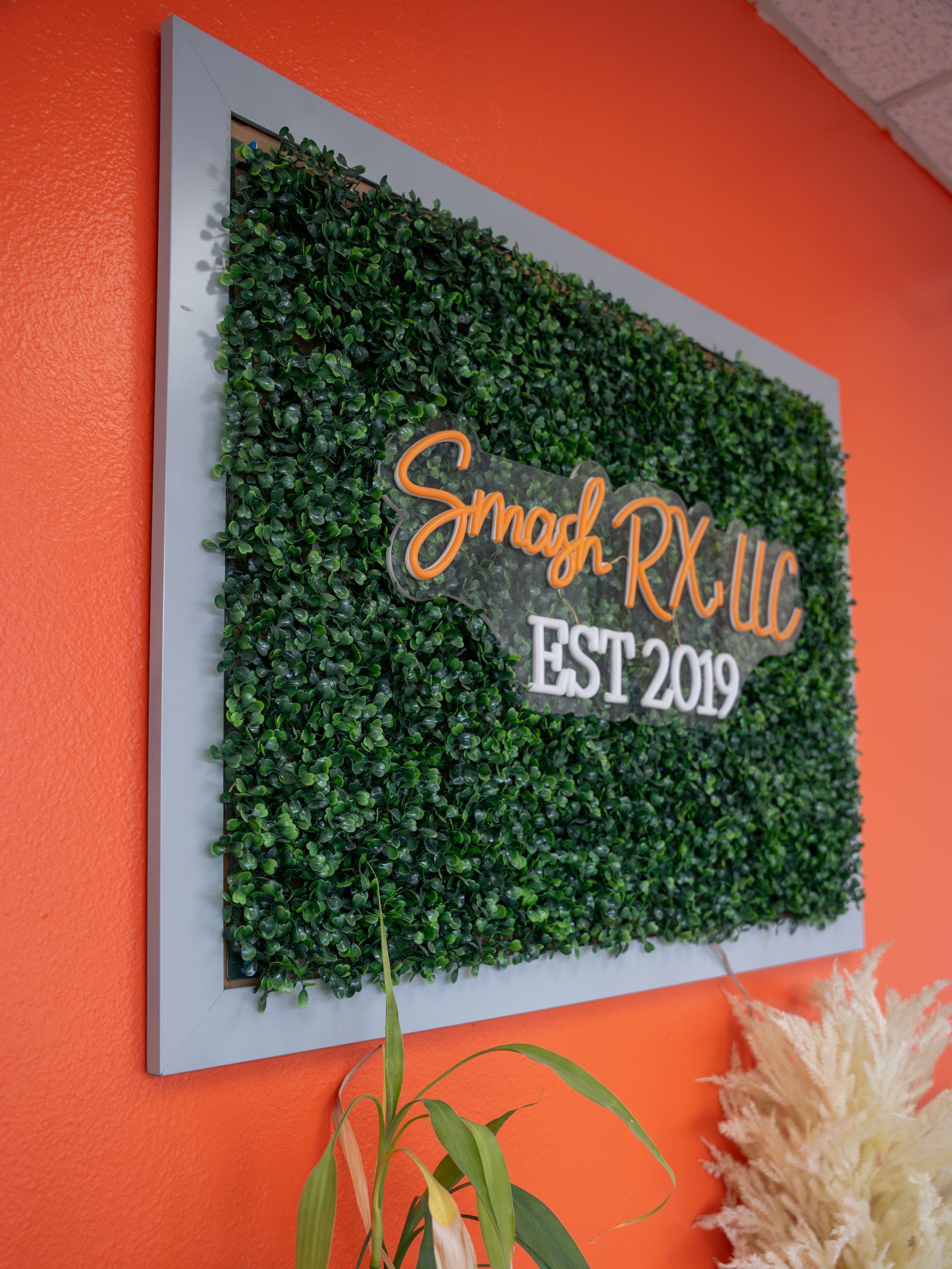 Smash RX LLC sign on a green boxwood wall, inside a gray frame, against an orange wall.