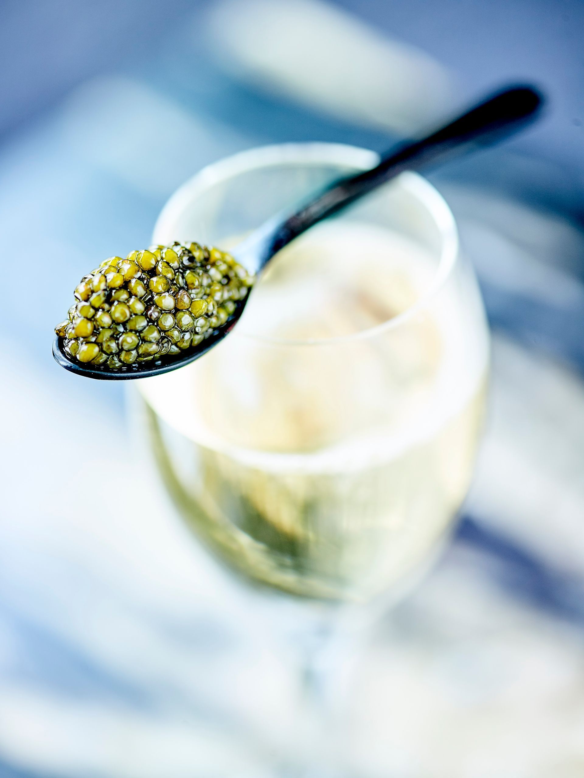 Caviar House Seafood Bar