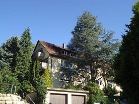 Ein großes Haus mit Garage ist von Bäumen und Büschen umgeben.