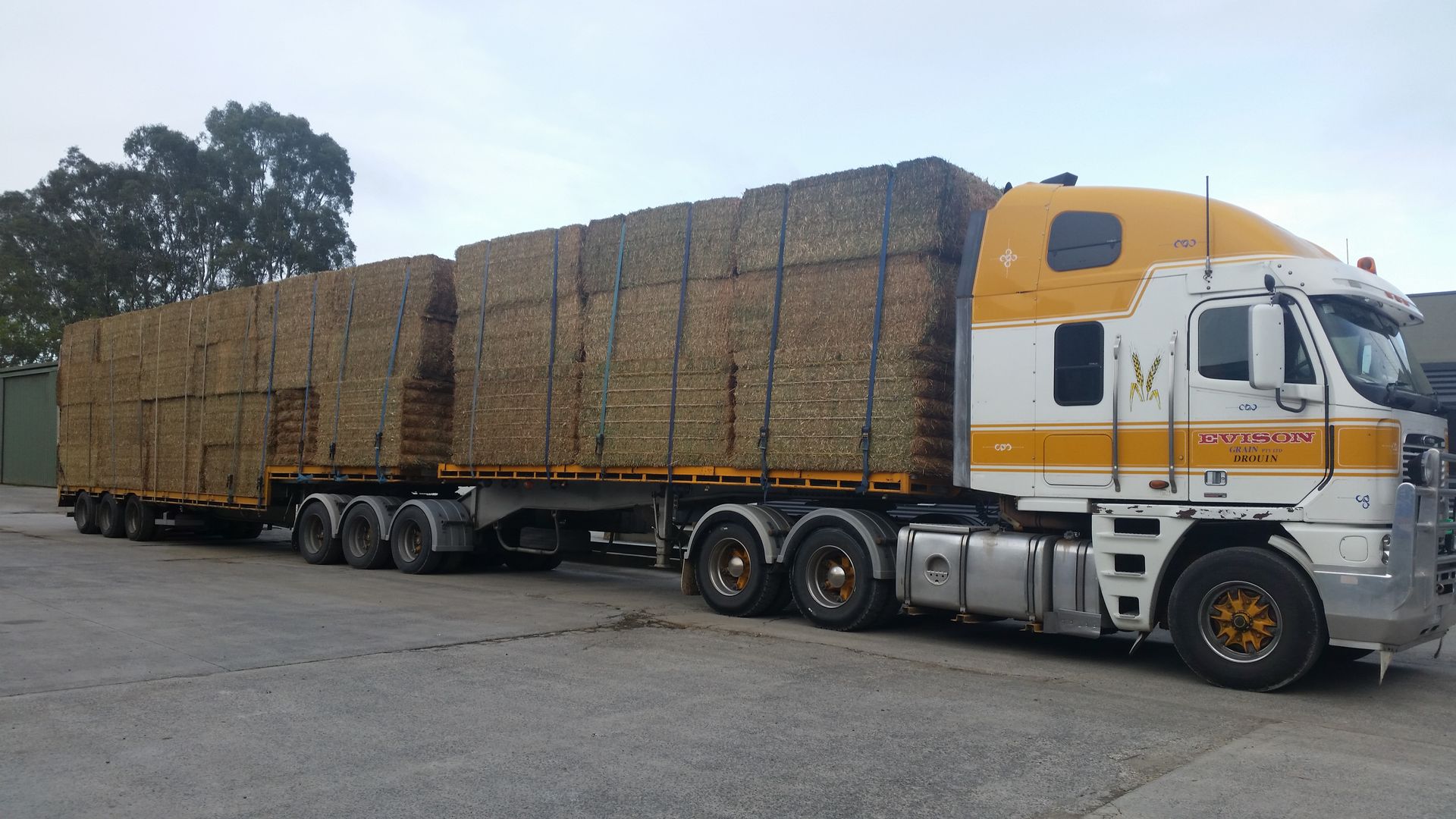 Wholegrain Biscuit — Drouin, VIC — Evison Grain Pty Ltd