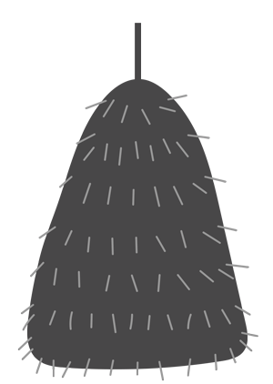 Small Bags Of Feed — Drouin, VIC — Evison Grain Pty Ltd