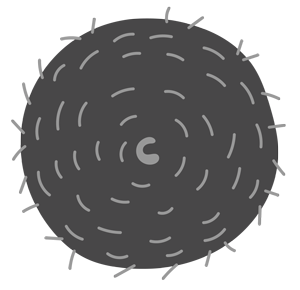 Poly Master Tanks — Drouin, VIC — Evison Grain Pty Ltd