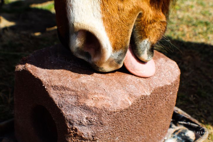 Colored Vegetable — Drouin, VIC — Evison Grain Pty Ltd