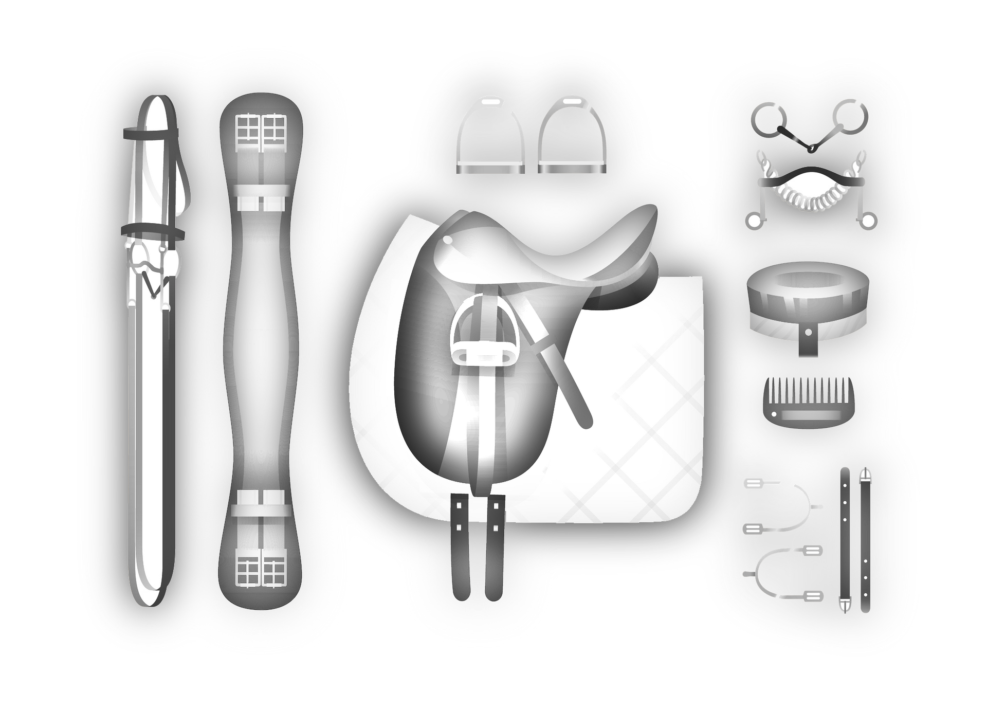 Horse Accessories — Drouin, VIC — Evison Grain Pty Ltd