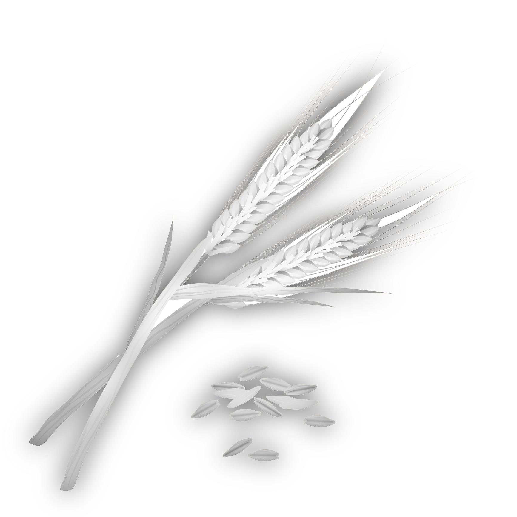 Wholegrain & Hay — Drouin, VIC — Evison Grain Pty Ltd