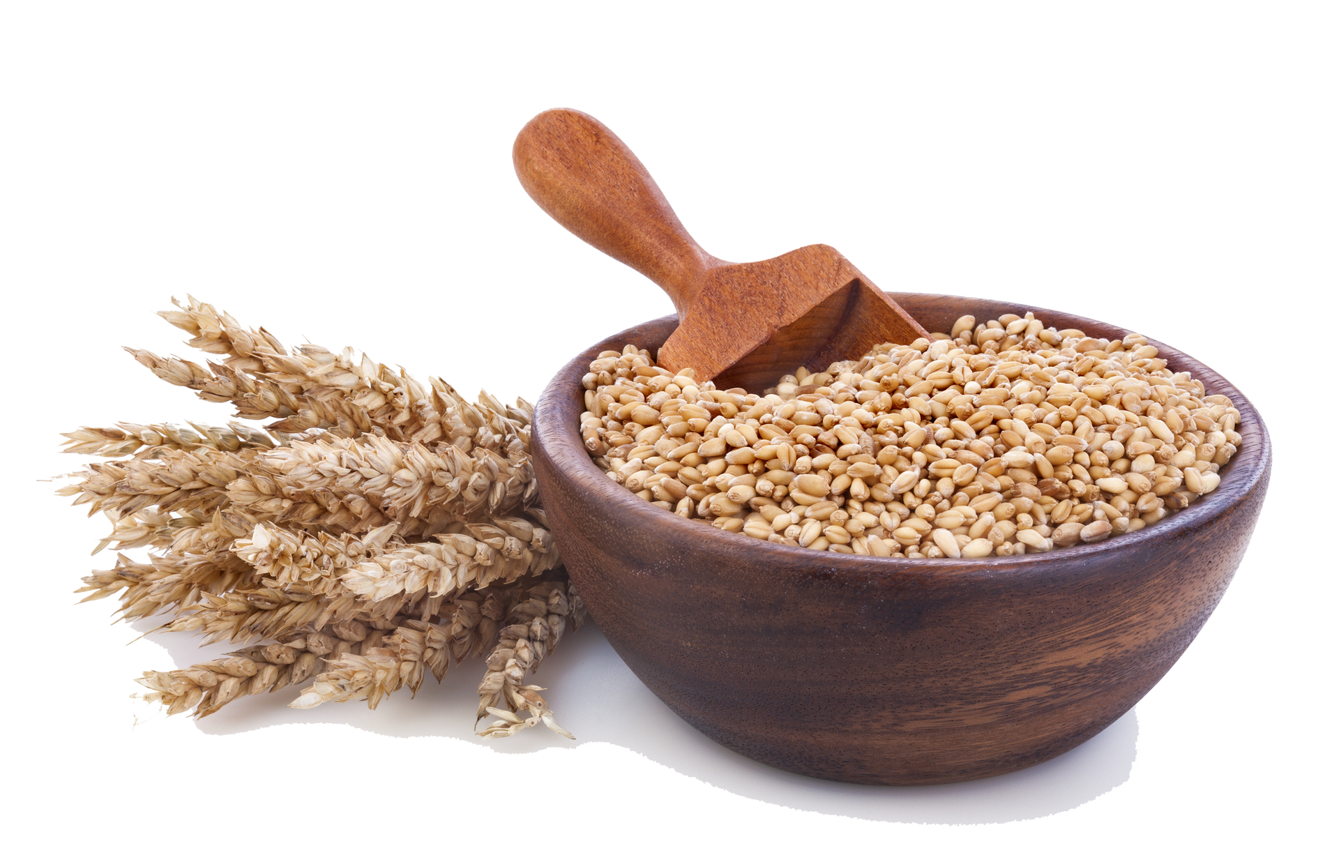 Ripe Wheat And Flour In a Wooden Bowls — Drouin, VIC — Evison Grain Pty Ltd