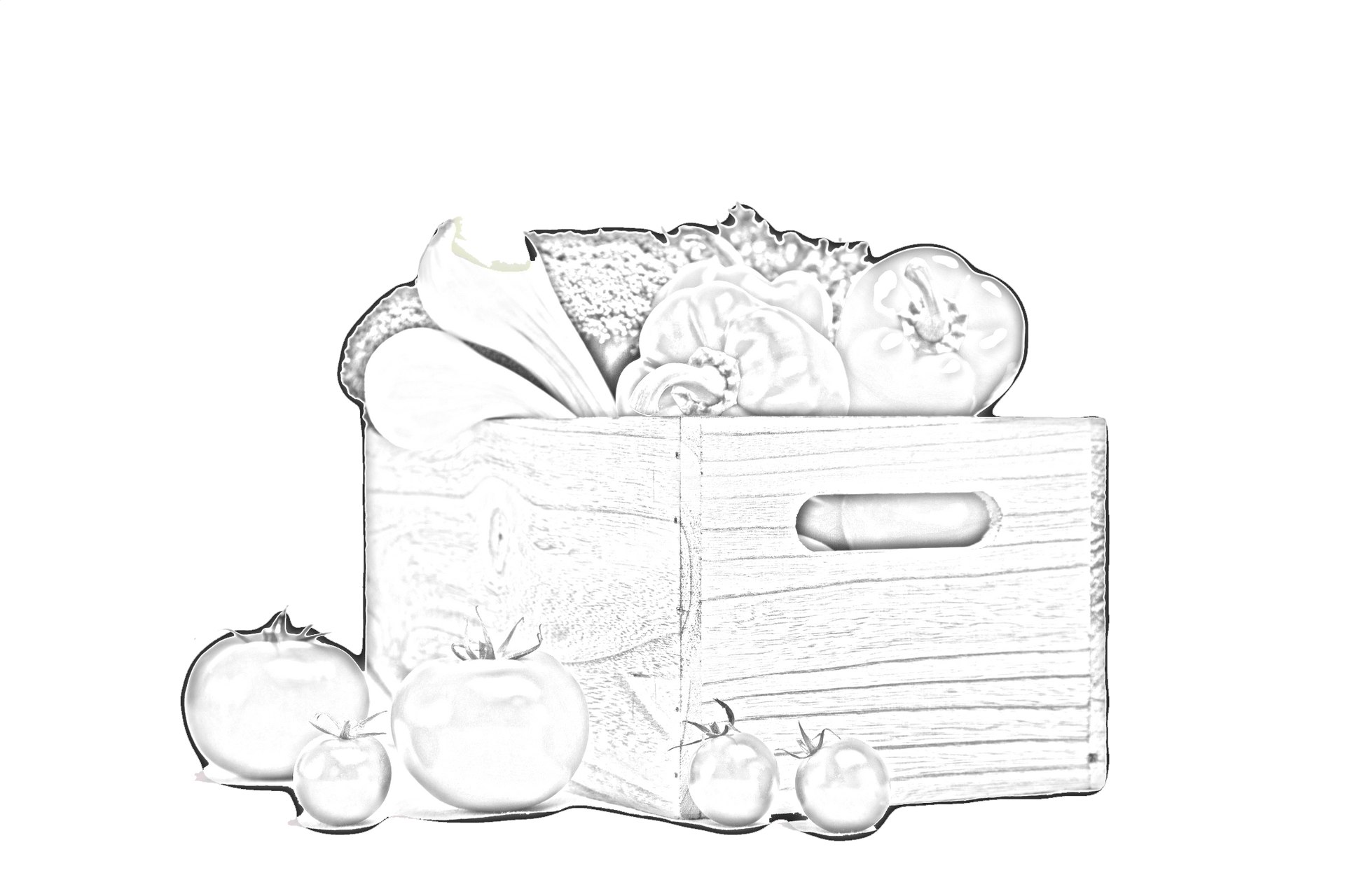 Vegetable — Drouin, VIC — Evison Grain Pty Ltd