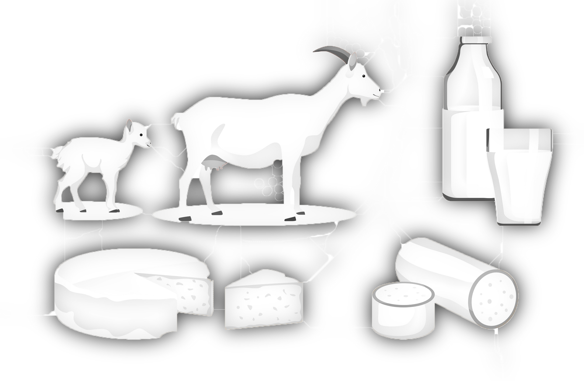 Small Animal Products — Drouin, VIC — Evison Grain Pty Ltd