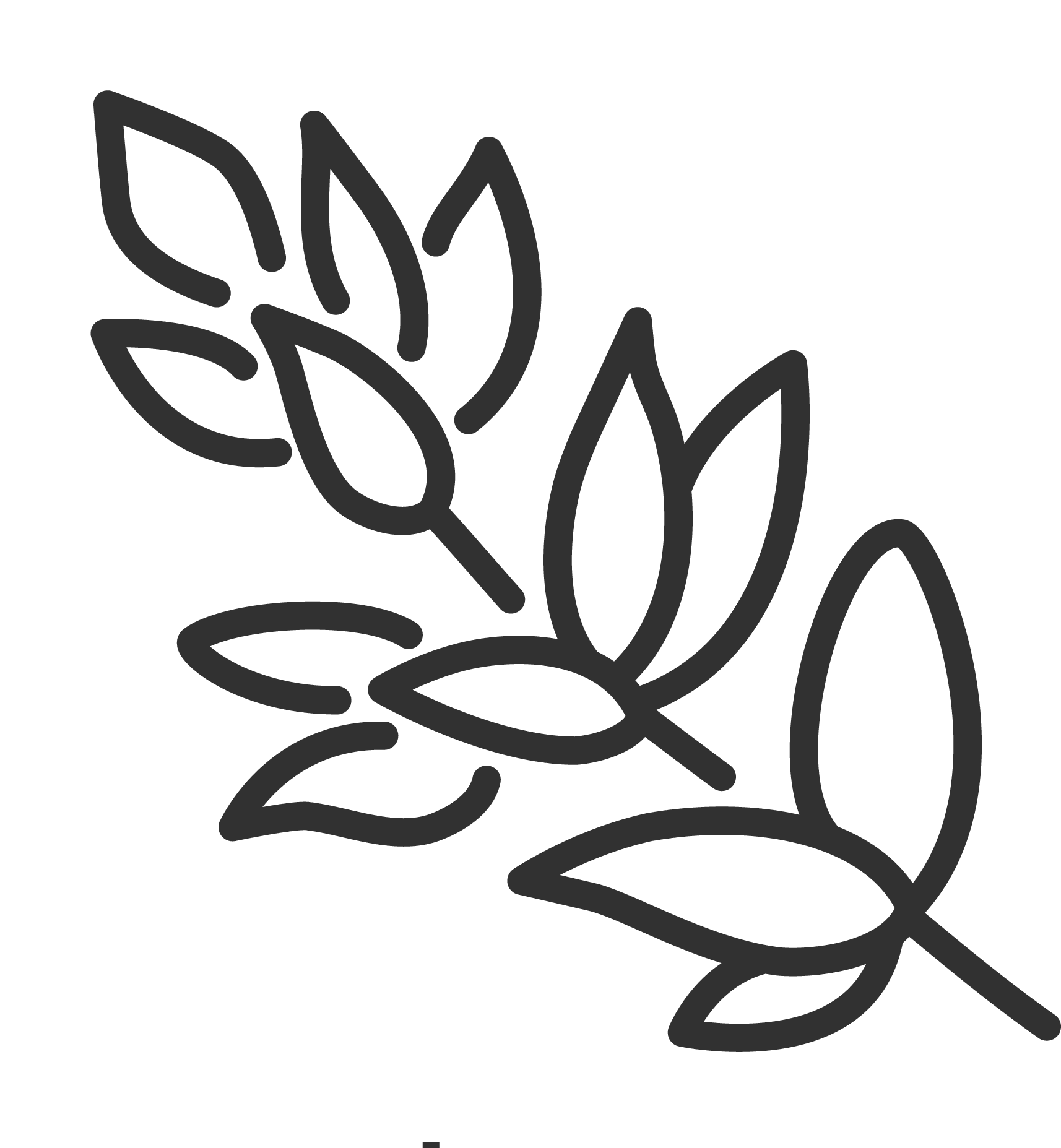 Small Animal Products — Drouin, VIC — Evison Grain Pty Ltd